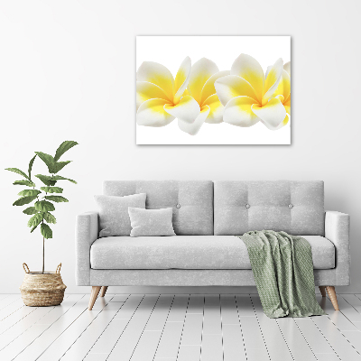 Print pe canvas plumeria