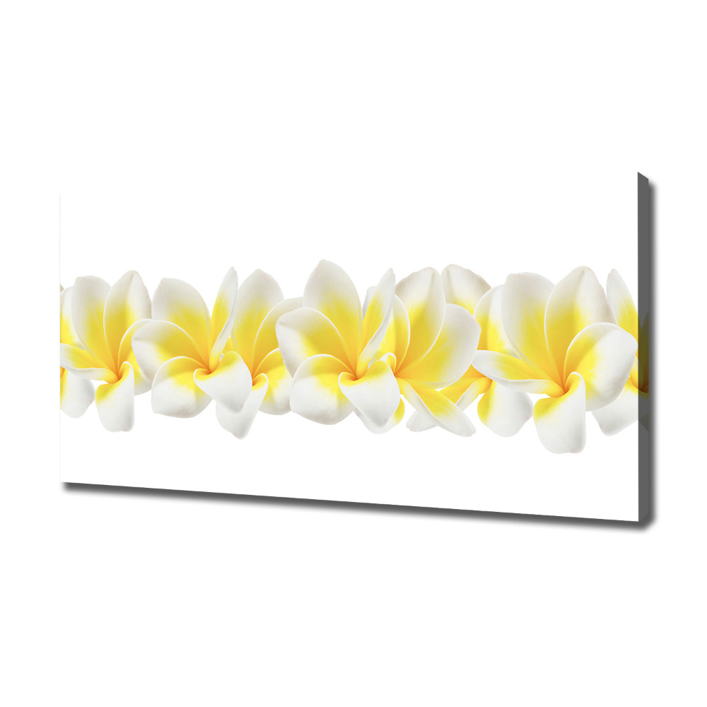 Print pe canvas plumeria