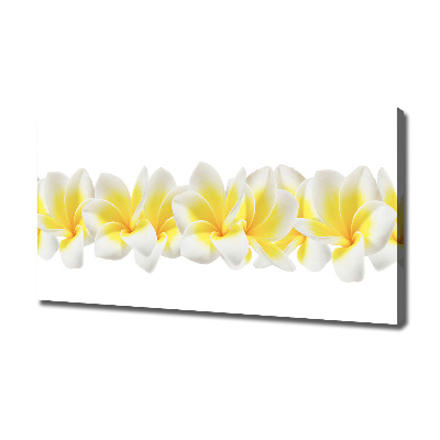 Print pe canvas plumeria