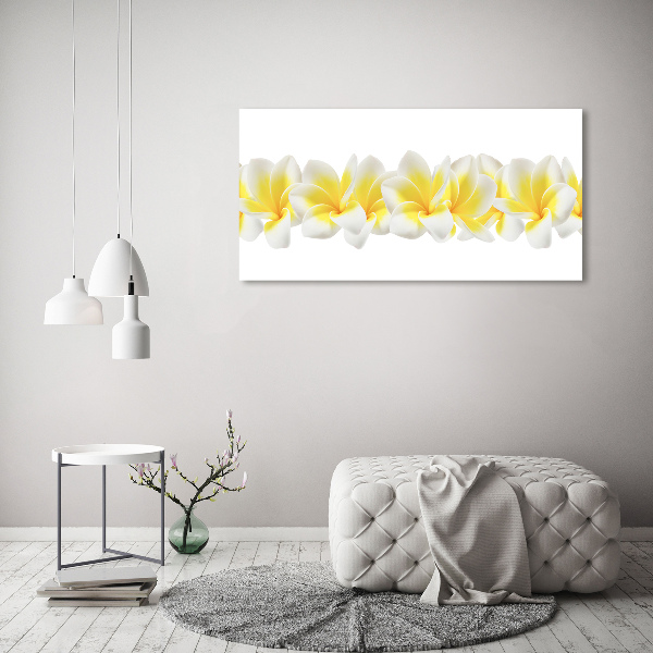 Print pe canvas plumeria