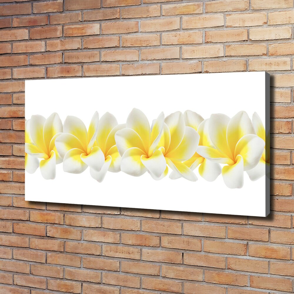 Print pe canvas plumeria