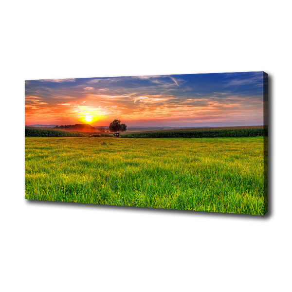 Tablou canvas Sunset Meadow