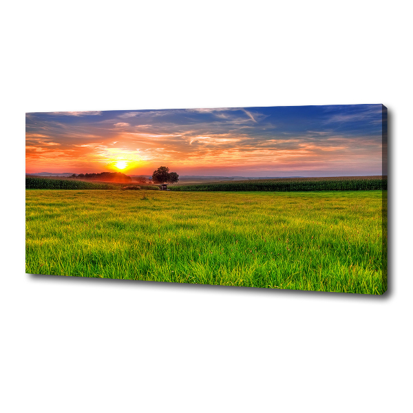 Tablou canvas Sunset Meadow