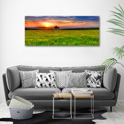 Tablou canvas Sunset Meadow