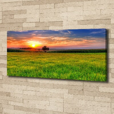 Tablou canvas Sunset Meadow