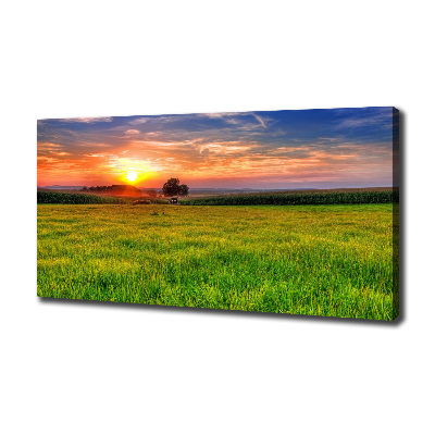 Tablou canvas Sunset Meadow