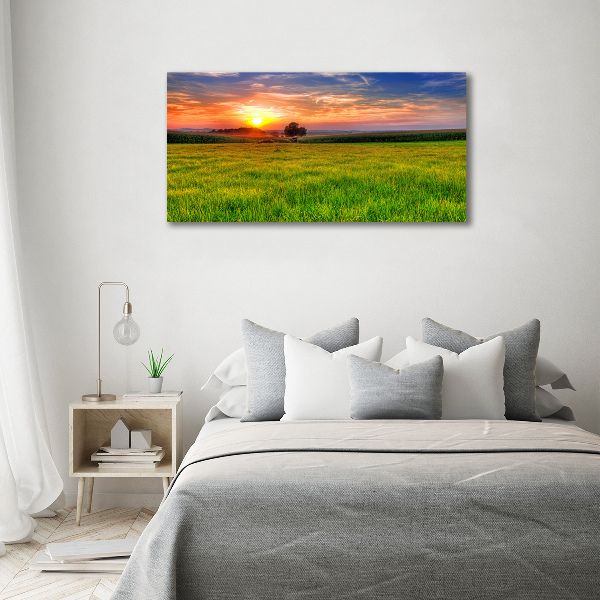 Tablou canvas Sunset Meadow