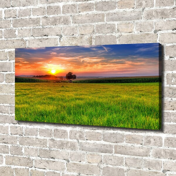 Tablou canvas Sunset Meadow