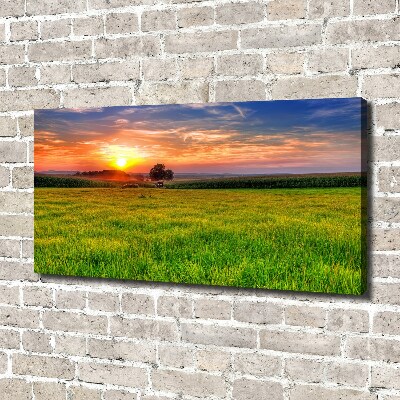 Tablou canvas Sunset Meadow