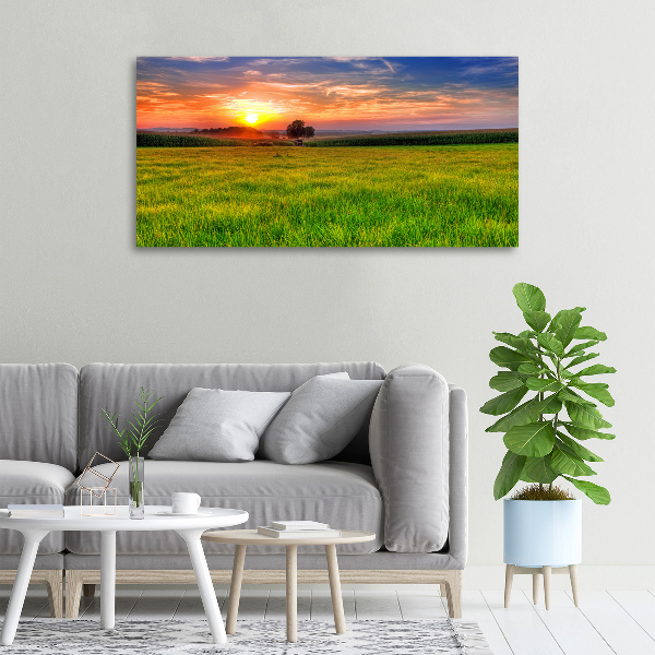 Tablou canvas Sunset Meadow