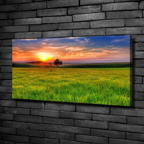 Tablou canvas Sunset Meadow