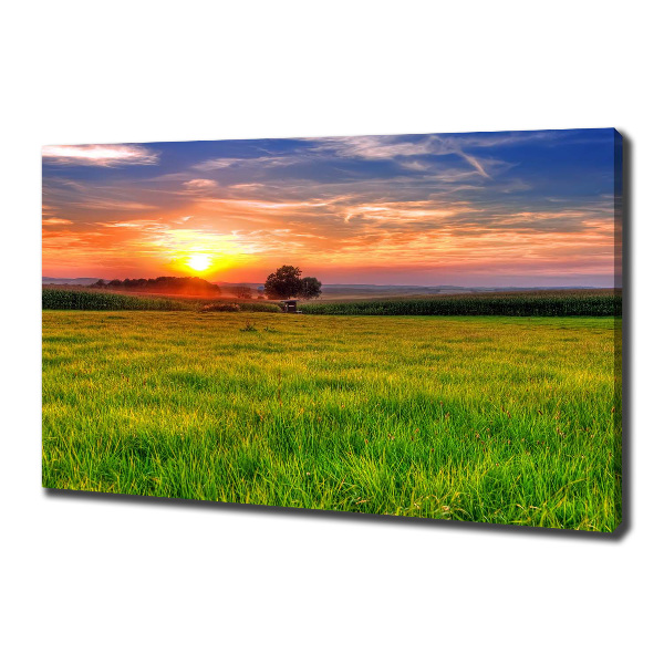 Tablou canvas Sunset Meadow