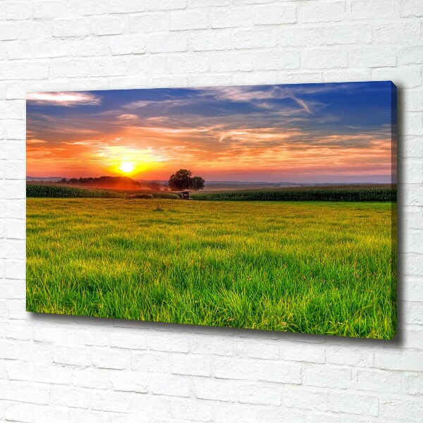 Tablou canvas Sunset Meadow