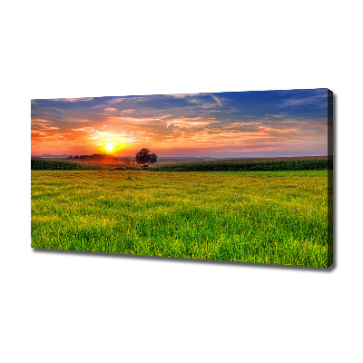 Tablou canvas Sunset Meadow