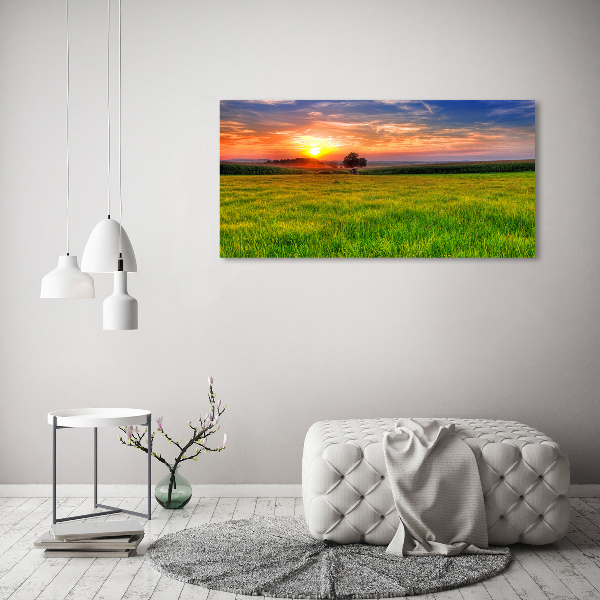 Tablou canvas Sunset Meadow