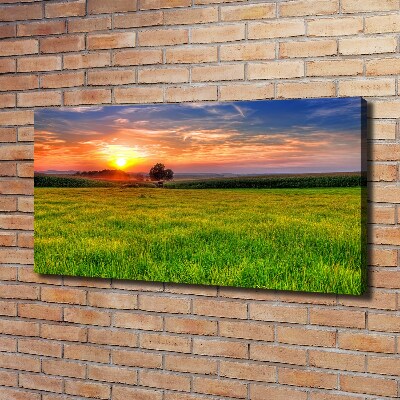 Tablou canvas Sunset Meadow