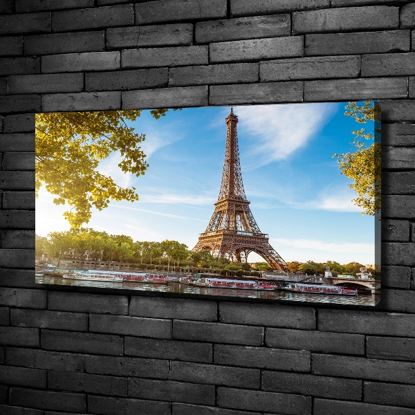 Tablou pe pânză canvas Turnul Eiffel din Paris