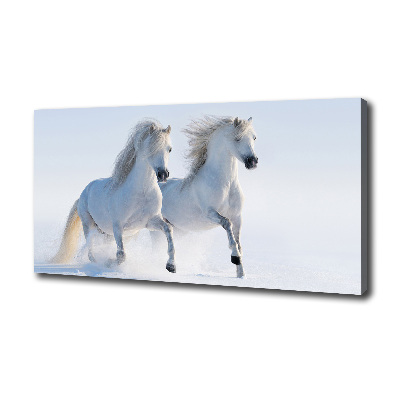 Tablou pe pânză Doi cai în zăpadă