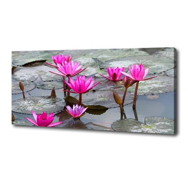 Tablou pe pânză canvas floare de lotus