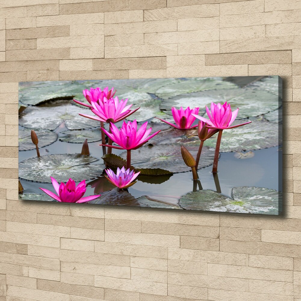 Tablou pe pânză canvas floare de lotus