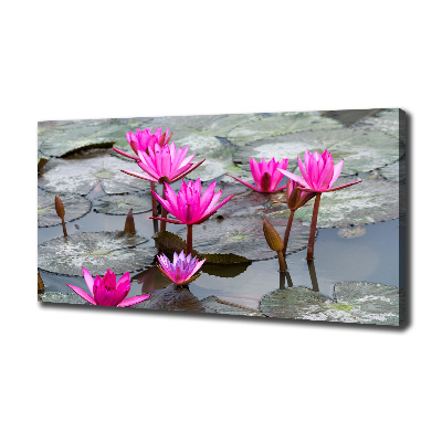 Tablou pe pânză canvas floare de lotus