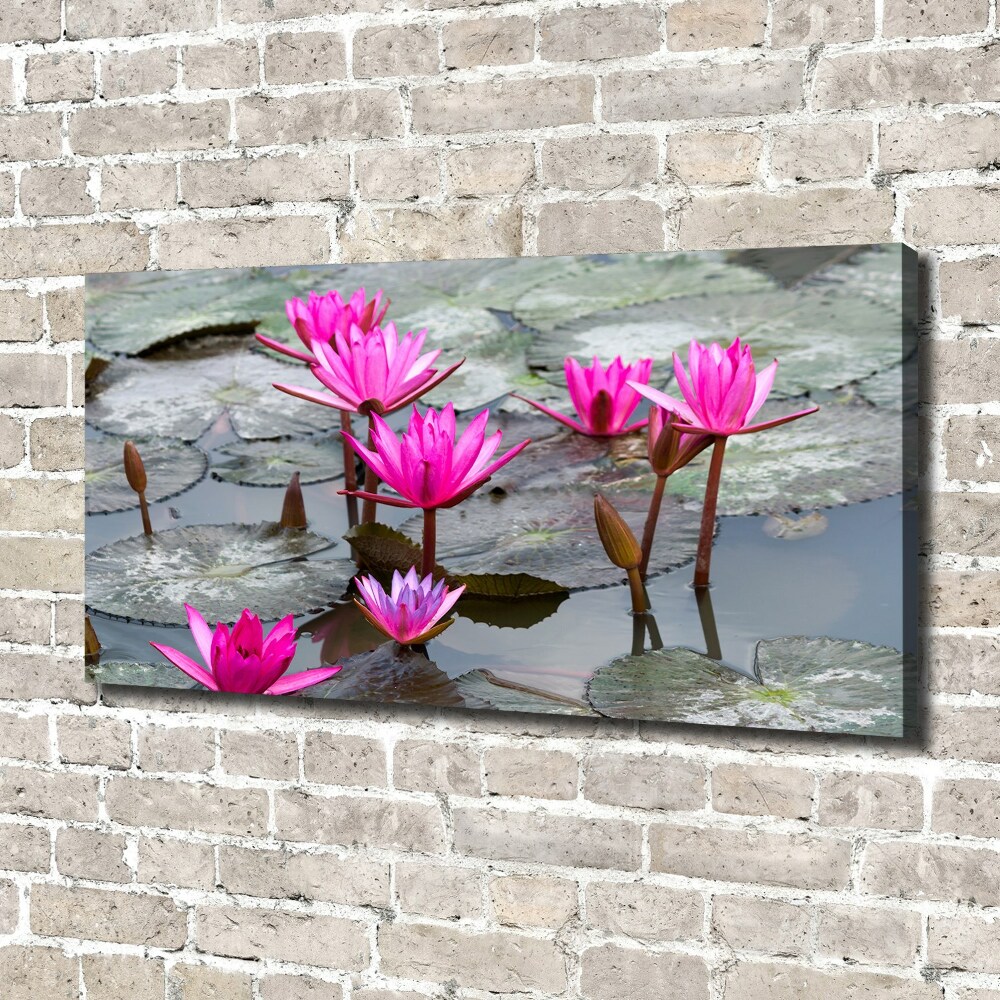 Tablou pe pânză canvas floare de lotus