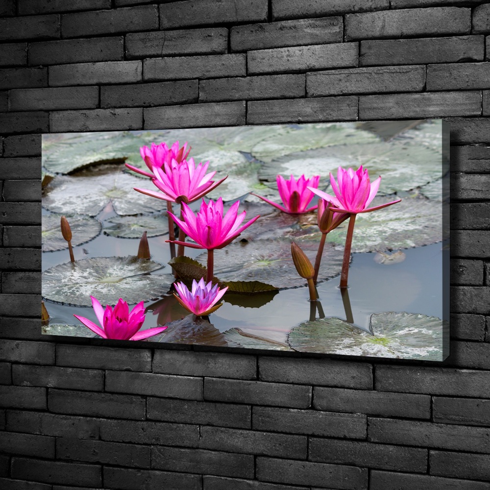 Tablou pe pânză canvas floare de lotus