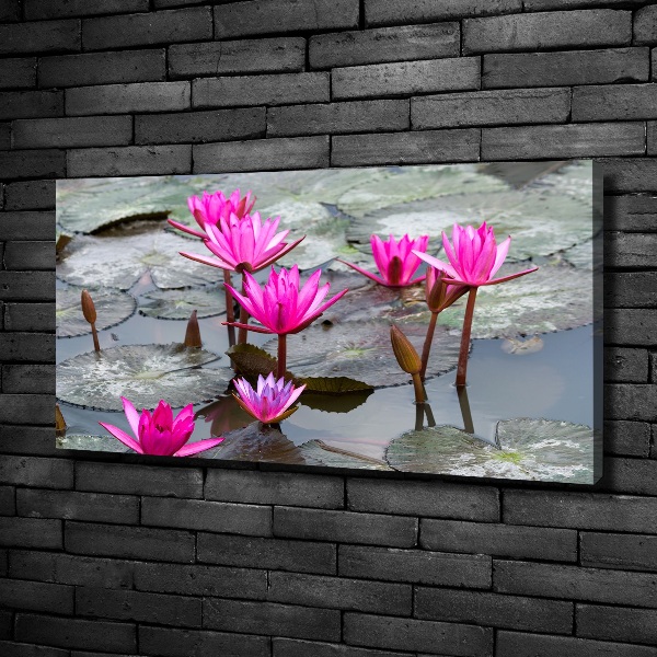 Tablou pe pânză canvas floare de lotus