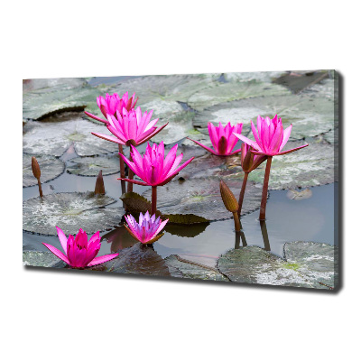 Tablou pe pânză canvas floare de lotus