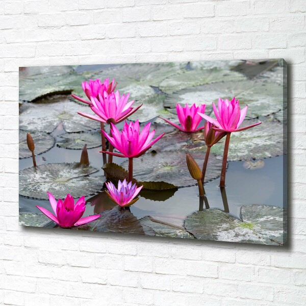 Tablou pe pânză canvas floare de lotus