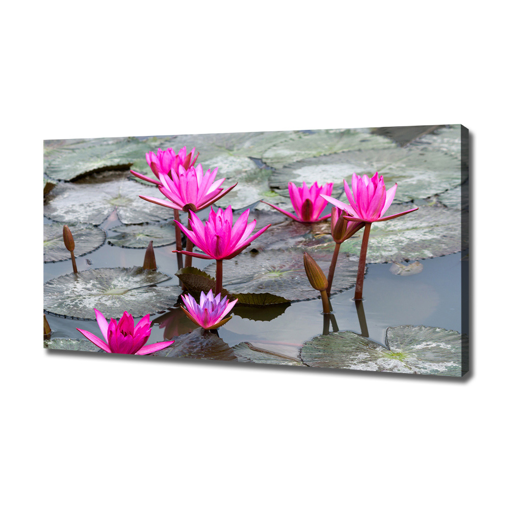 Tablou pe pânză canvas floare de lotus