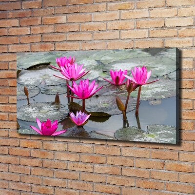 Tablou pe pânză canvas floare de lotus