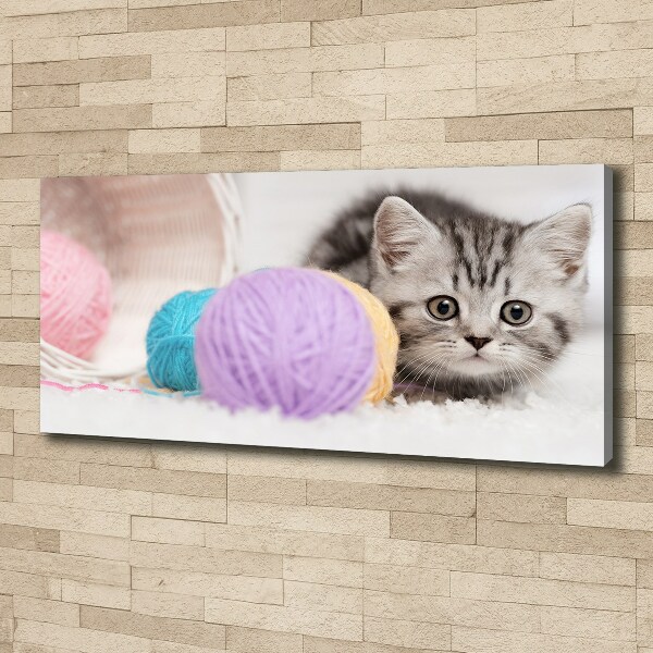 Print pe canvas Cat cu motkami