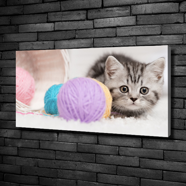 Print pe canvas Cat cu motkami