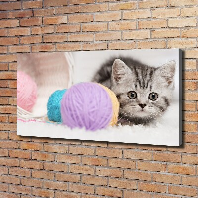 Print pe canvas Cat cu motkami