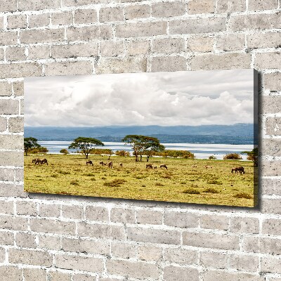 Print pe canvas Lacul Naivasha