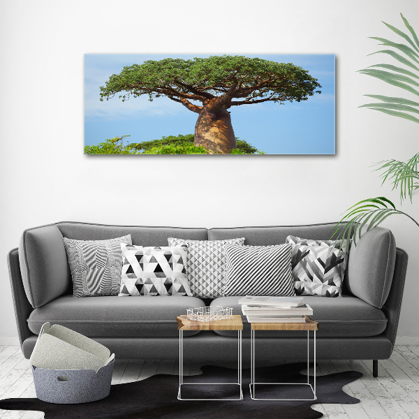 Tablou canvas Baobab