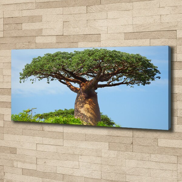 Tablou canvas Baobab