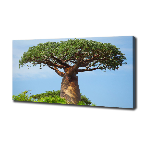 Tablou canvas Baobab