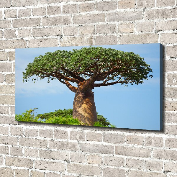 Tablou canvas Baobab