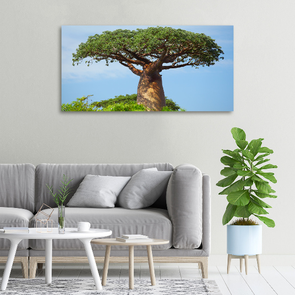 Tablou canvas Baobab