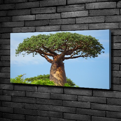 Tablou canvas Baobab