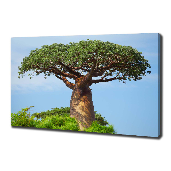 Tablou canvas Baobab