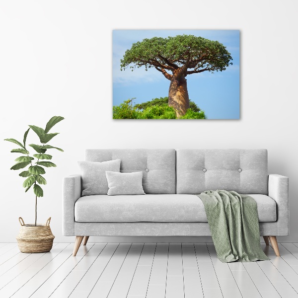 Tablou canvas Baobab