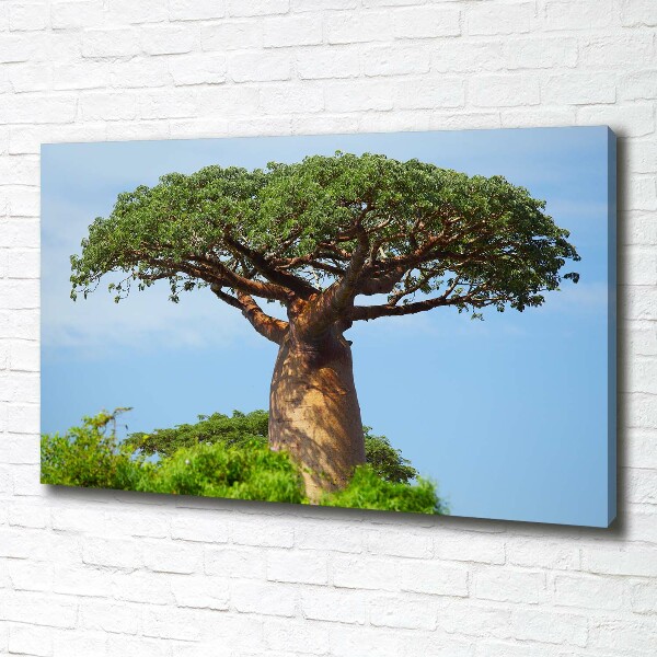 Tablou canvas Baobab