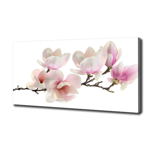 Print pe canvas Magnolie