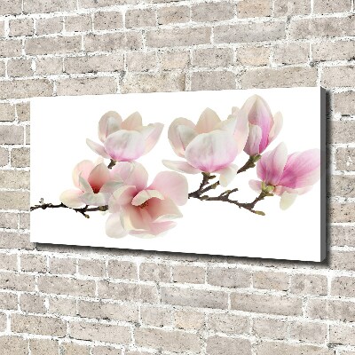 Print pe canvas Magnolie