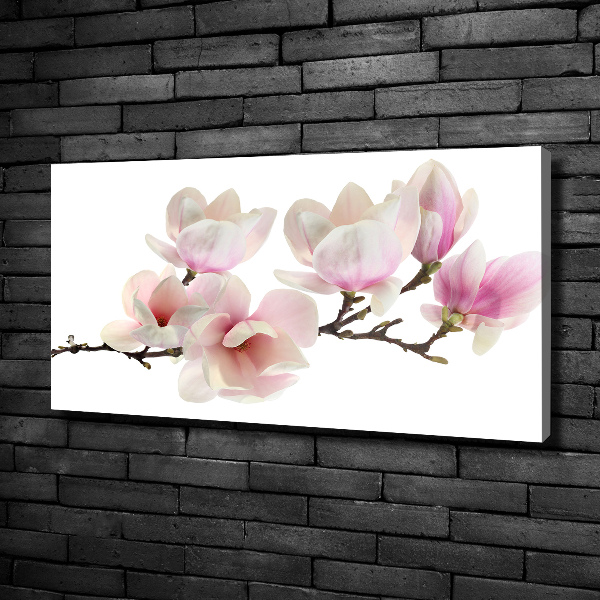 Print pe canvas Magnolie