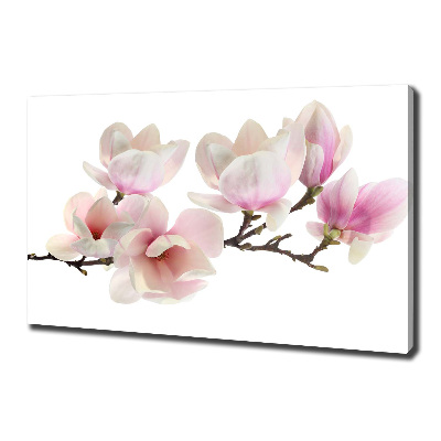 Print pe canvas Magnolie