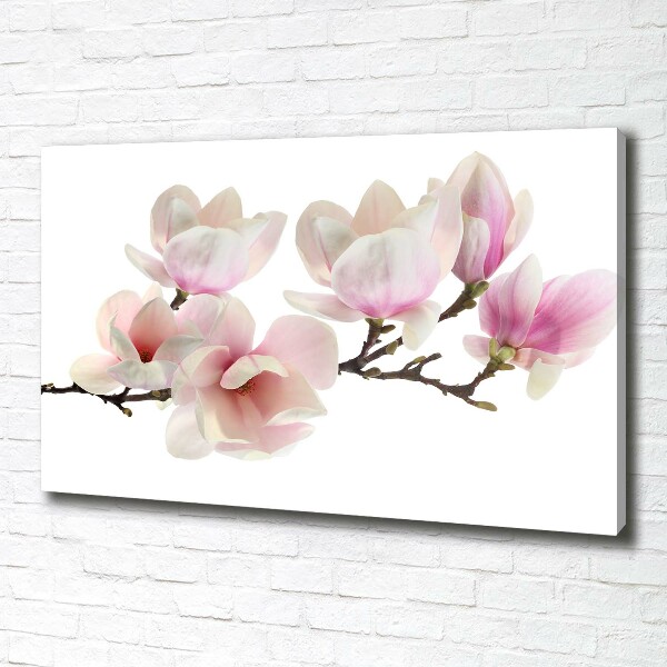 Print pe canvas Magnolie